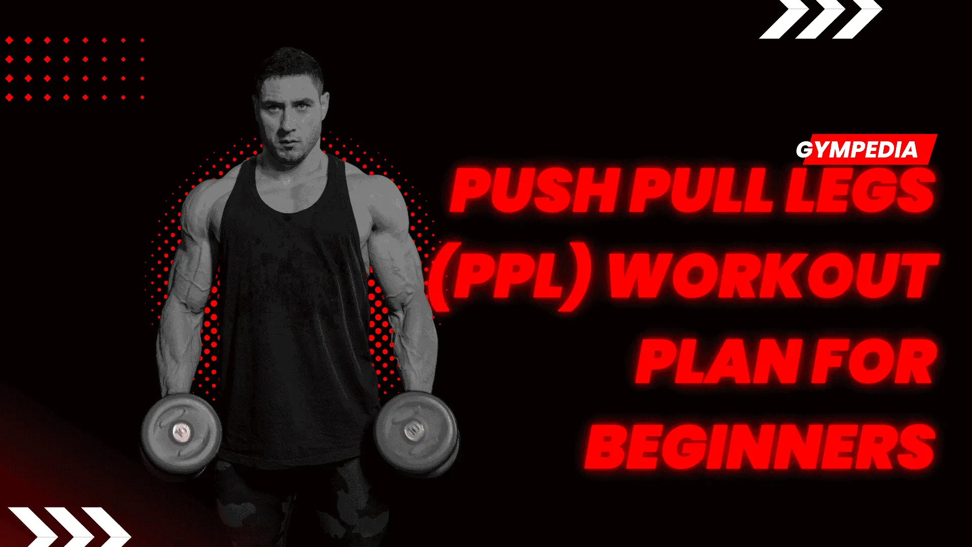 Push Pull Legs Workout Plan for Beginners Without the Volume Mistakes
