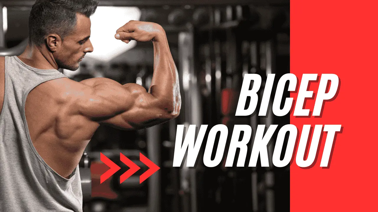 Biceps workout guide