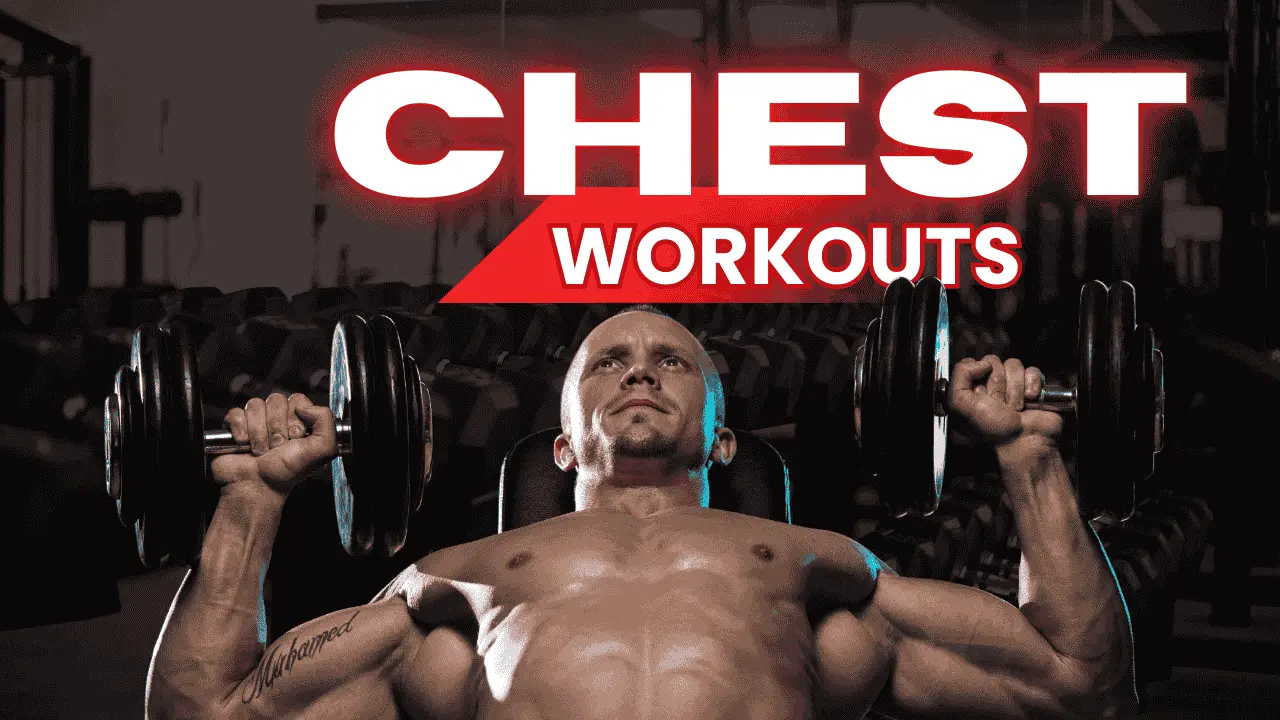 Chest workout guide