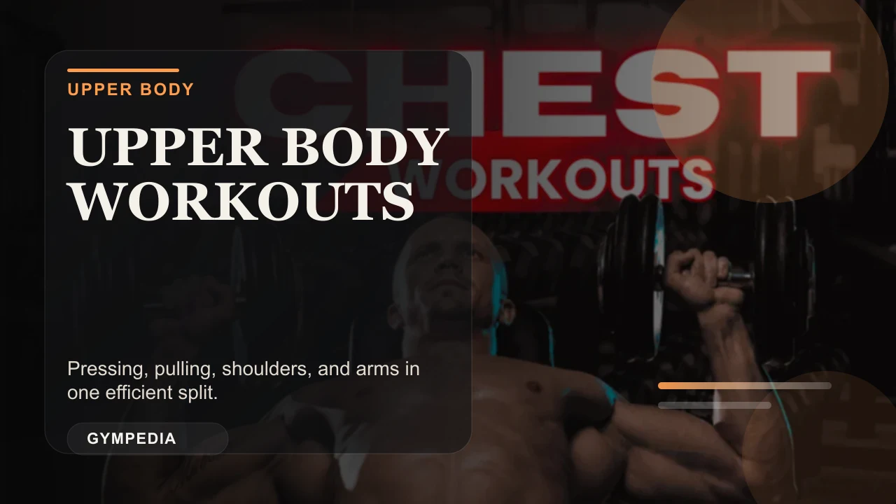 Upper body workout guide